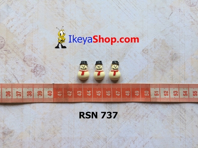rsn 737  large2